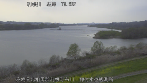 tonos2026032917_image