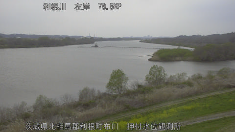 tonos2026032918_image