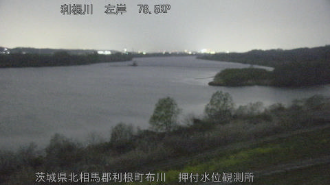 tonos2026032919_image