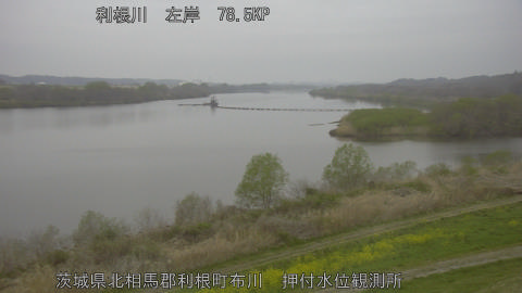 tonos2026033006_image