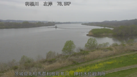 tonos2026033007_image