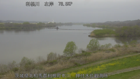 tonos2026033008_image