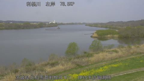 tonos2026033009_image