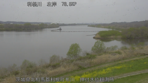 tonos2026033010_image