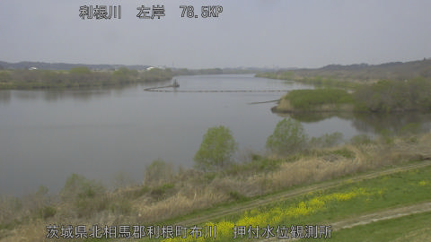 tonos2026033011_image