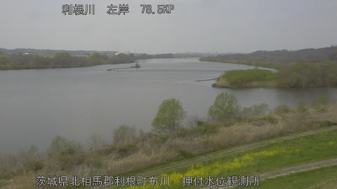 tonos2026033012_image