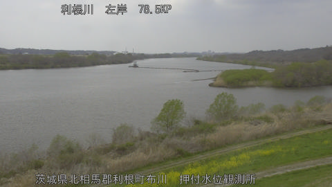 tonos2026033013_image