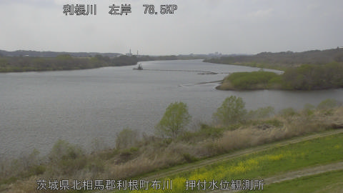 tonos2026033014_image