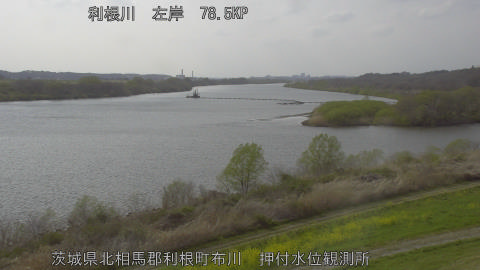 tonos2026033015_image