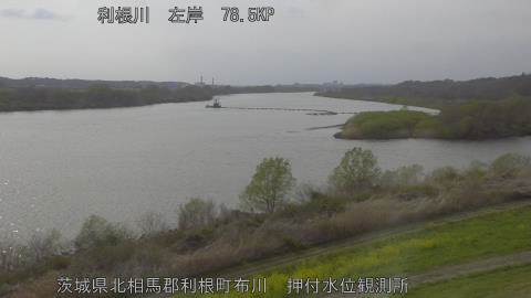 tonos2026033016_image