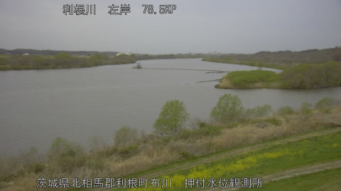 tonos2026033106_image