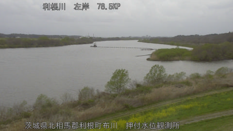 tonos2026033107_image