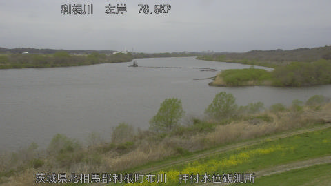 tonos2026033108_image