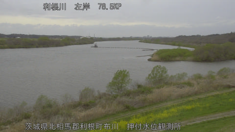 tonos2026033109_image