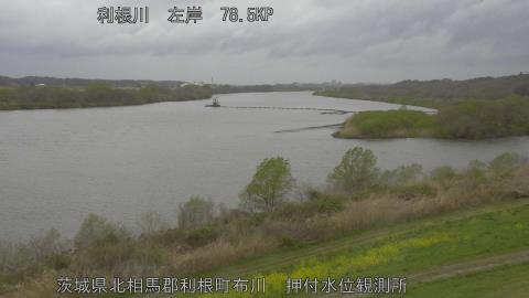 tonos2026033111_image