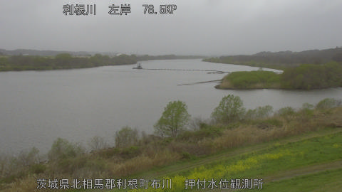 tonos2026033112_image