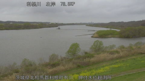 tonos2026033113_image