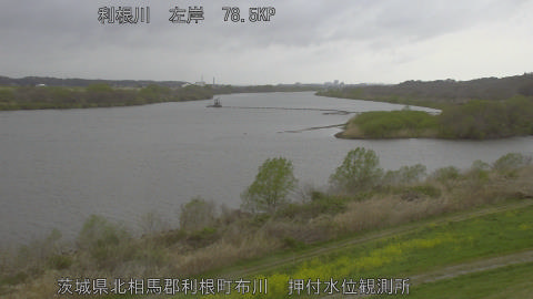 tonos2026033114_image