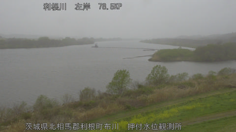 tonos2026033115_image