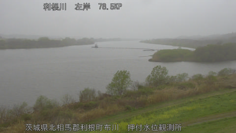 tonos2026033117_image