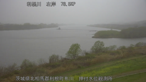 tonos2026033118_image