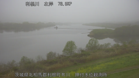 tonos2026040106_image