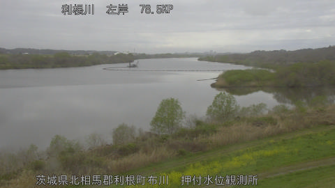 tonos2026040108_image