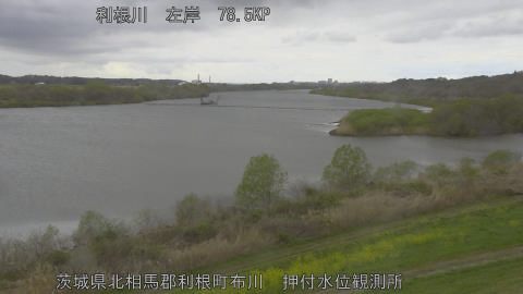 tonos2026040109_image