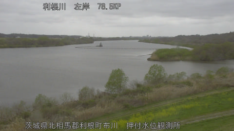 tonos2026040113_image