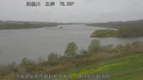 tonos2026040114_image