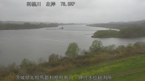 tonos2026040116_image