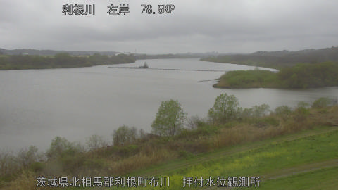 tonos2026040117_image