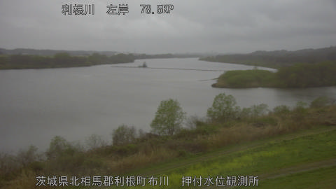 tonos2026040118_image