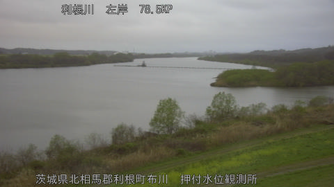 tonos2026040206_image