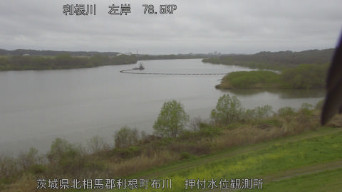 tonos2026040211_image