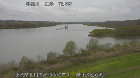 tonos2026040213_image