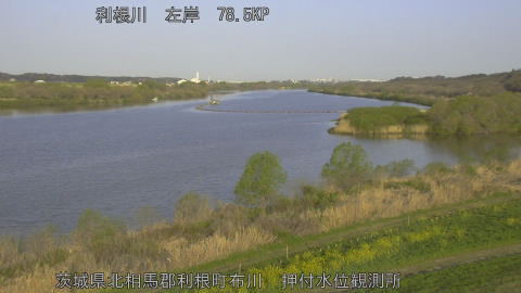 tonos2026040307_image