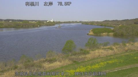 tonos2026040308_image