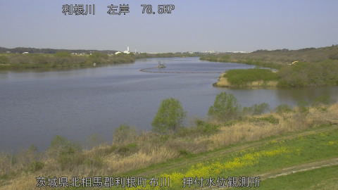 tonos2026040309_image