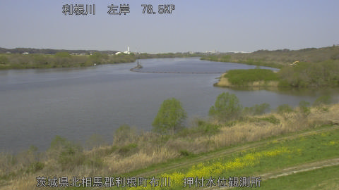 tonos2026040310_image