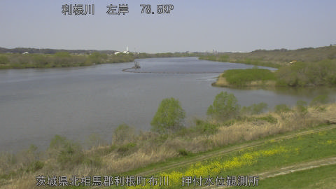 tonos2026040311_image