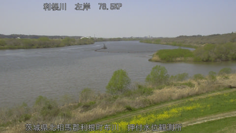 tonos2026040312_image