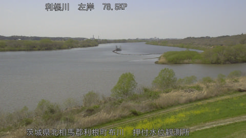 tonos2026040313_image