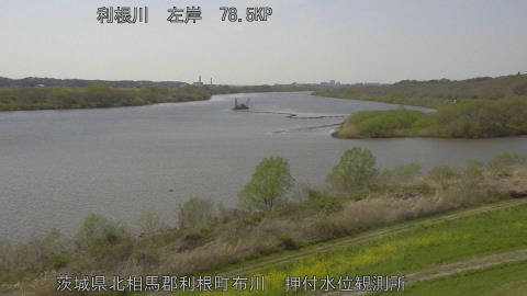 tonos2026040314_image