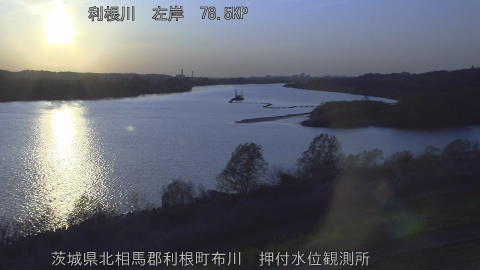 tonos2026040318_image