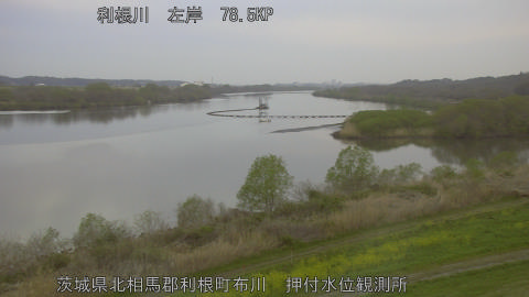 tonos2026040406_image