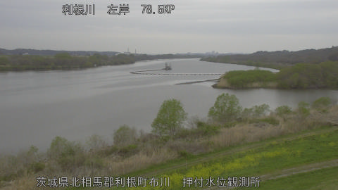 tonos2026040407_image