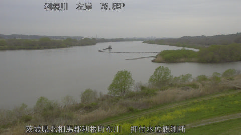 tonos2026040408_image