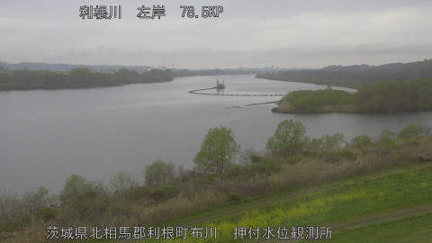 tonos2026040410_image