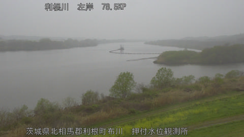 tonos2026040411_image